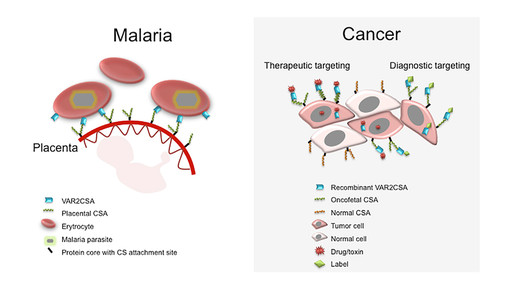malaria grafik