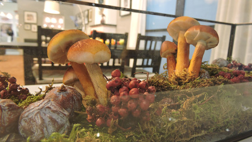 151002 impressionen expopharm 25