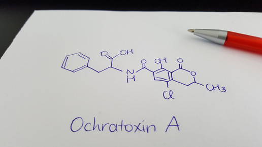 Paprikapulver: Verdacht auf Schimmelpilzgift