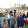 Apothekenwald: Die ersten Bäume sind gepflanzt