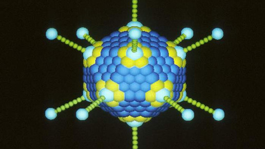 Viren-Ausbruch: Sieben Kinder gestorben