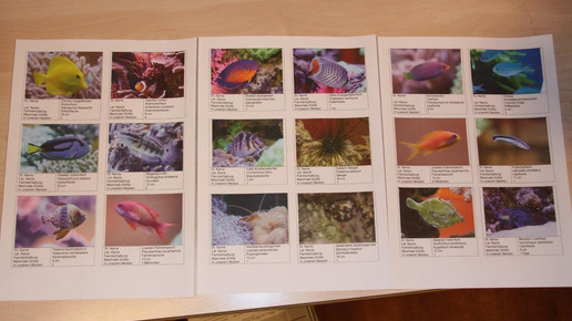 aquarium1 apo dr aurnhammer