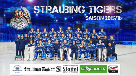 straubing tiger mannschaft straubingtigers