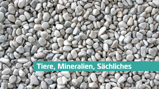 00 saechliches deckblatt wiki