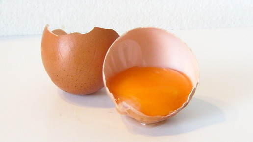 Fipronil: Bürger sollen schneller informiert werden