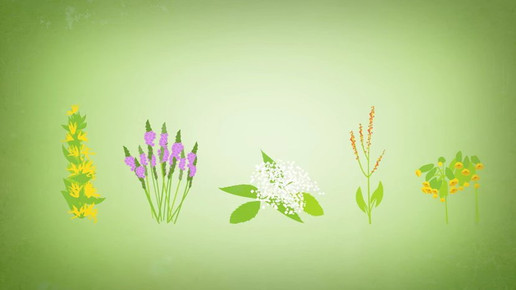 160712 sinupret spot scs