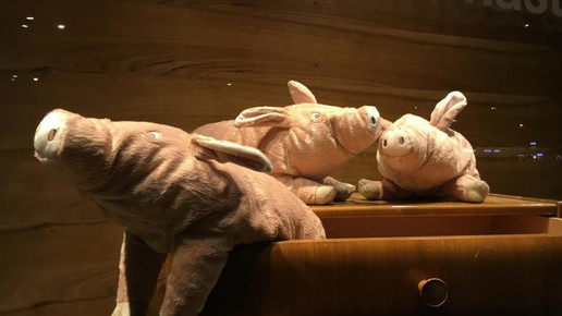 bellevue-apo fenster2 bellevue-apo