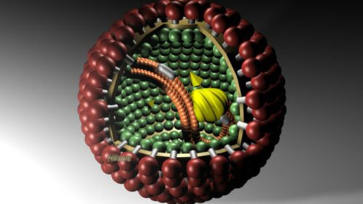Bornavirus: Bereits drei Todesfälle in Deutschland
