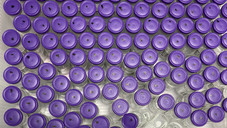 Der wöchentliche Wahnsinn