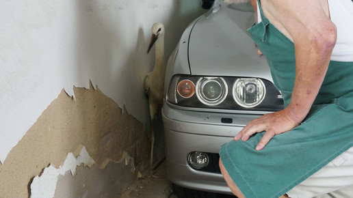 storch4 beyschlagsche apo holger peter