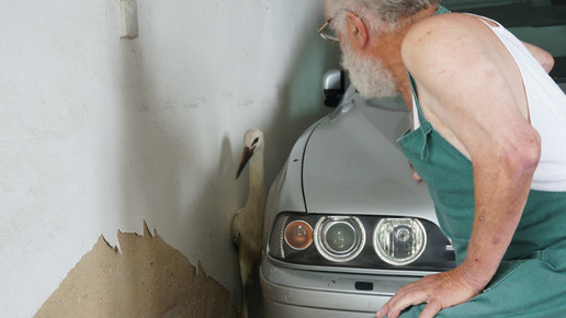 storch4 beyschlagsche apo holger peter