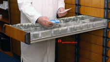 Achtung, die Schimmelpolizei kommt!