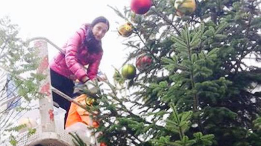 stadtapotheke buchen stadtapotheke 14