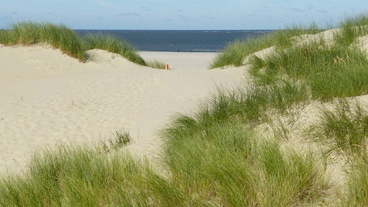 Sandduenen1 baltrum de