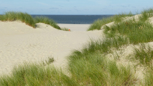 Sandduenen1 baltrum de