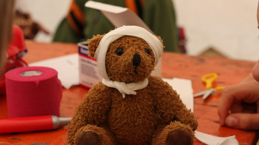 Teddy 2 Uni Heidelberg