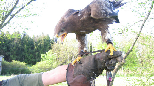 unesco welterbe  Anguane pixelio