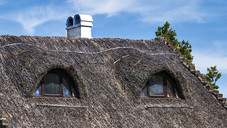 Reetdach, Brot, Genossenschaft – das ist das Kulturerbe