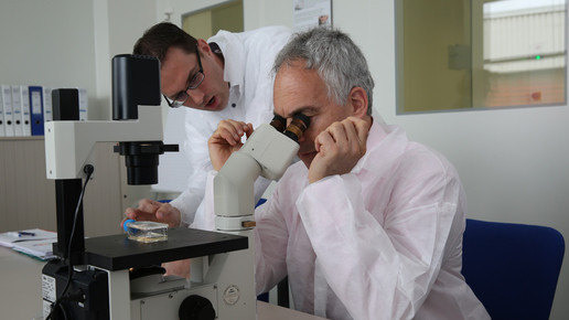 vigodman2 besuch teva