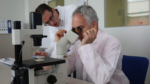 vigodman2 besuch teva