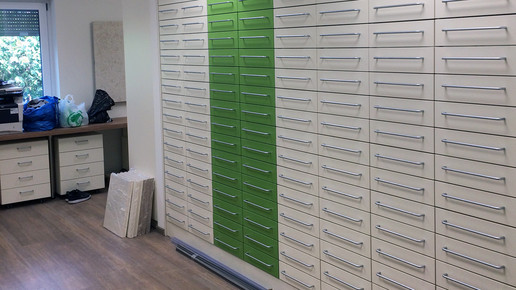 dentlein innen 02 spaniel