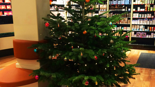 weihnachtsbaum weihnachtswunschsterne-aktion muehlen-apo