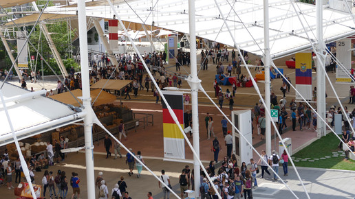 18707124190 14e20f4976 o 1