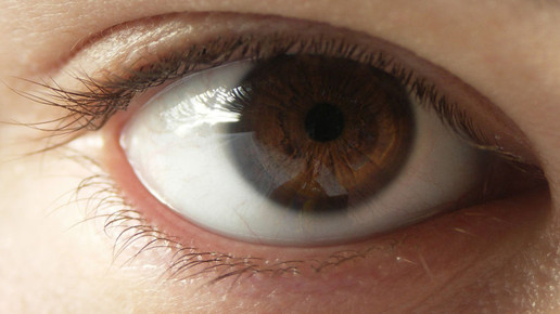 Oxervate erhält US-Zulassung