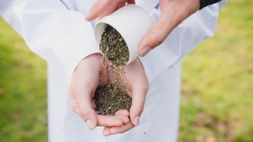 pferdeapotheke henle kraeuter