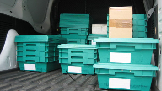 Phoenix ohne Brentzel