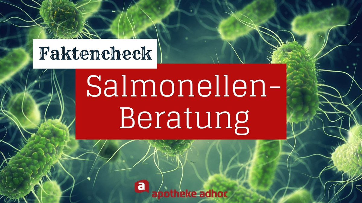 Salmonellen Die wichtigsten Fakten im Überblick APOTHEKE ADHOC