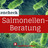 Salmonellen: Die wichtigsten Fakten im Überblick