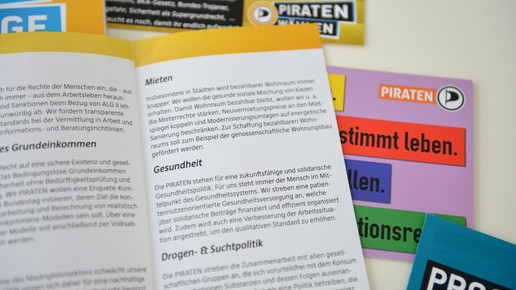 wahlkampf gesundheit piraten eh