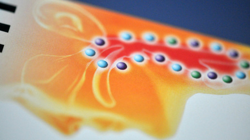 dorithricin close aa