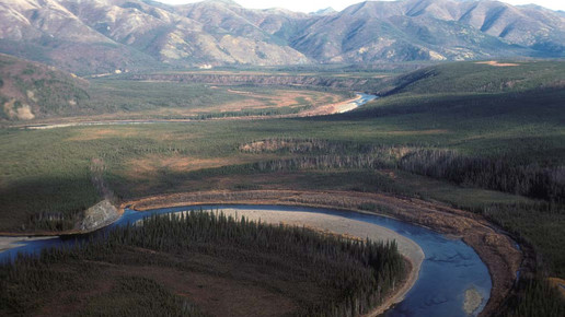 Zur Corona-Impfung an den Yukon