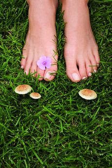 LINDA Beratungsaktion Nagelpilz gesunde Fu sse