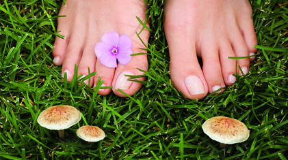 LINDA Beratungsaktion Nagelpilz gesunde Fu  sse