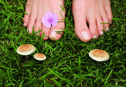 LINDA Beratungsaktion Nagelpilz gesunde Fu  sse