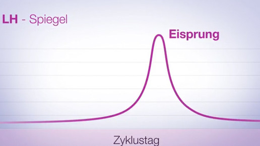apoclass Interakt Video ellaone