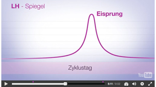 apoclass Interakt Video ellaone
