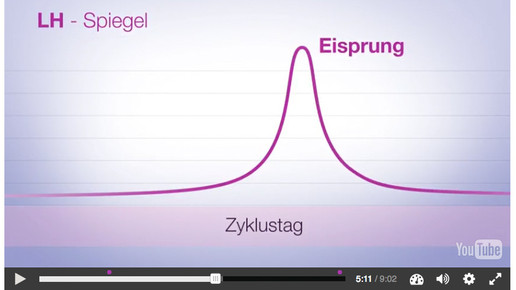 apoclass Interakt Video ellaone