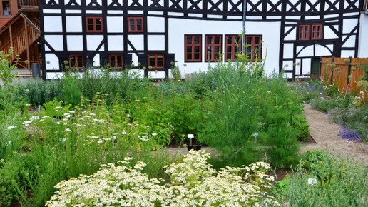 apothekergarten bad langensalza3 martina trebert