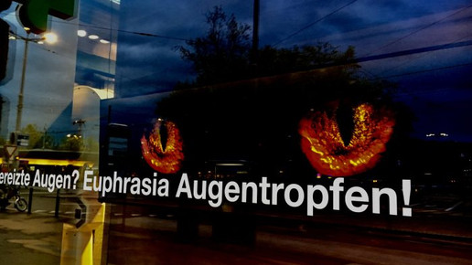 bellevue-apo fenster31 bellevue-apo