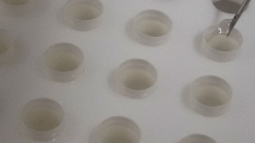 dronabinol kapselbefuellung 2 nah