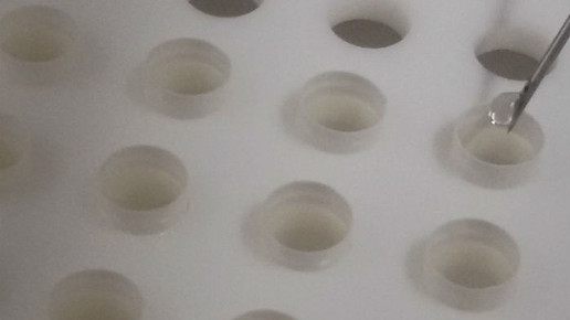 dronabinol kapselbefuellung 2 nah