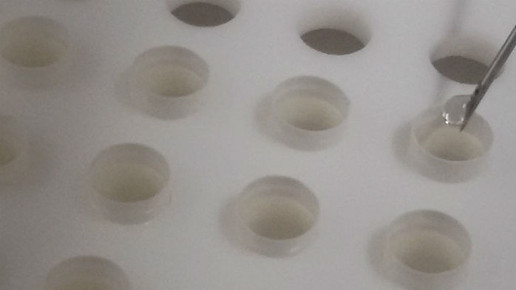 dronabinol kapselbefuellung 2 nah