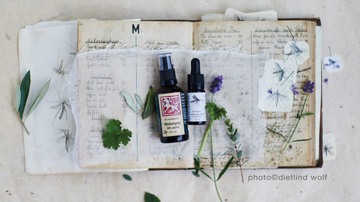 loewen-apo mueckejuckt dietlind wolf