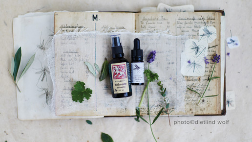 loewen-apo mueckejuckt dietlind wolf