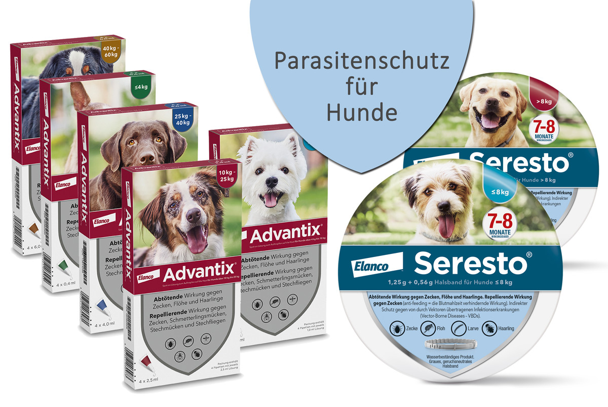hundekissen donut Nobby Donut Classic LISSI - 50+70 cm rund
