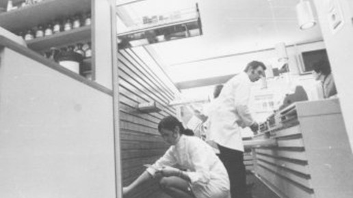 Morche 6 Helge Morche